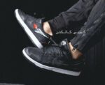 نایک اس بی دانک لو Nike SB Dunk low wasted youth