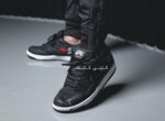 نایک اس بی دانک لو Nike SB Dunk low wasted youth