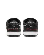 نایک اس بی دانک لو Nike SB Dunk low wasted youth