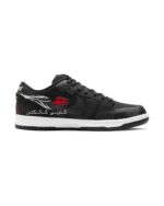 نایک اس بی دانک لو Nike SB Dunk low wasted youth