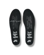 نایک اس بی دانک لو Nike SB Dunk low wasted youth